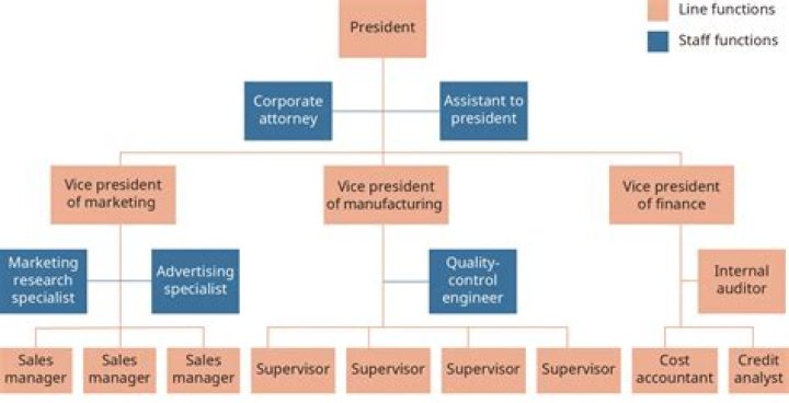 Which organization has the line of authority to oversee the management?