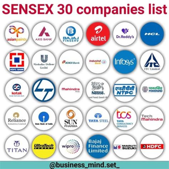 Which shares are included in Sensex?