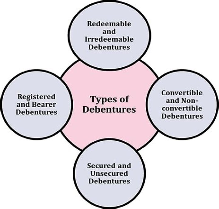 Which type of debenture do not pay interest?