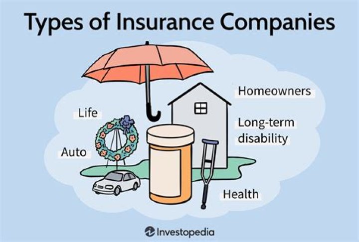 Which type of insurance company pays dividends to its stockholders?