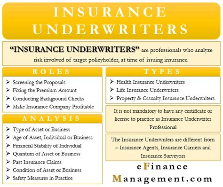 Who are the main insurance underwriters?