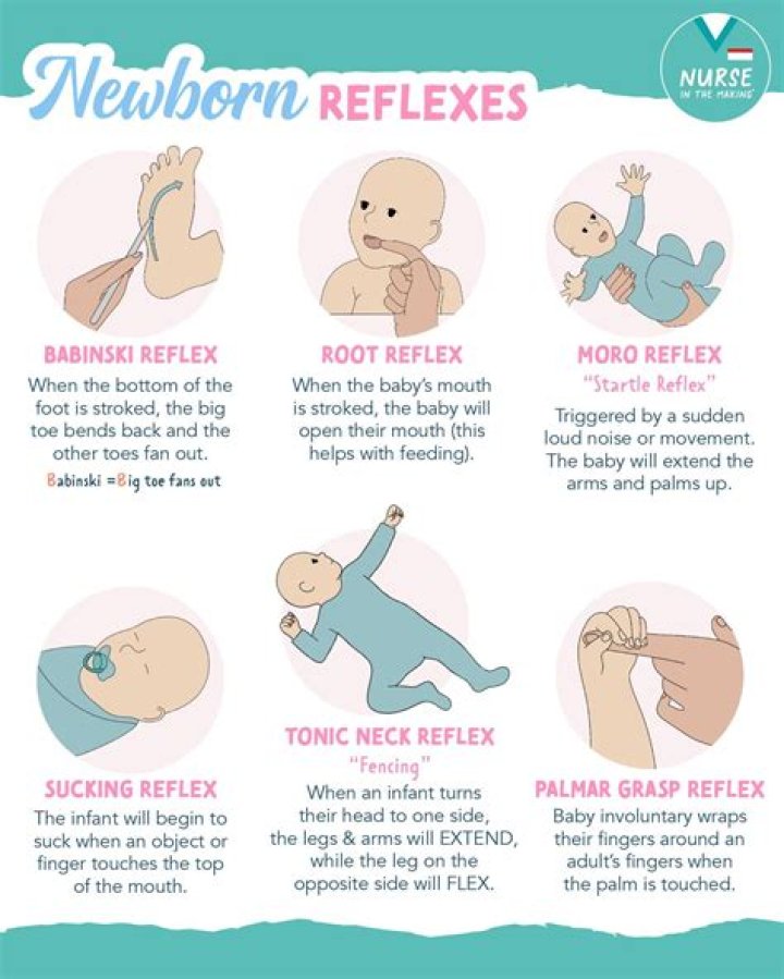Who are the nurses that take care of newborns?