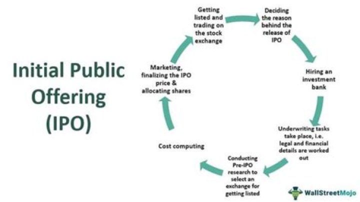Who decides the share price in IPO?