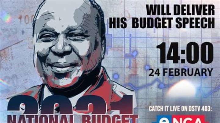 Who delivered the 2021 Budget speech?