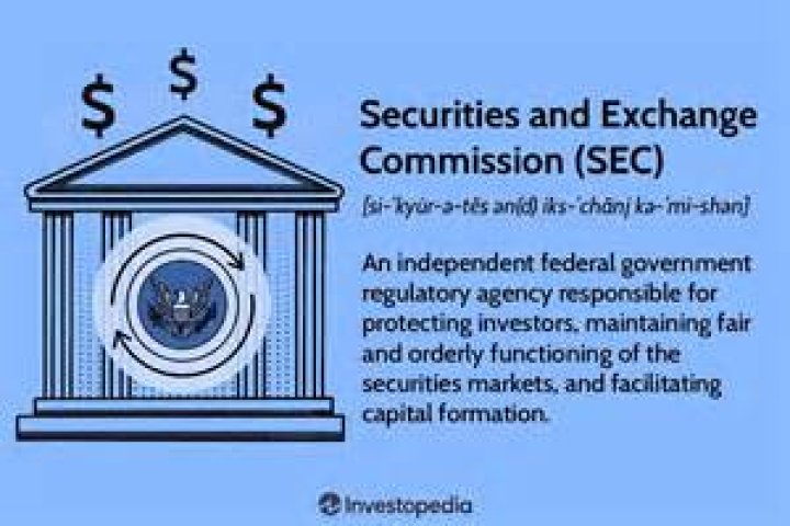 Who did the Securities and Exchange Commission help?