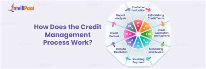 Who does Credit Management LP collect for?