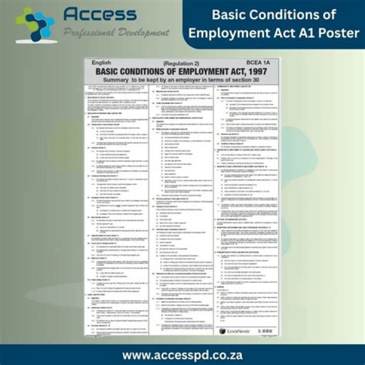 Who does the Basic Conditions of Employment Act apply to?