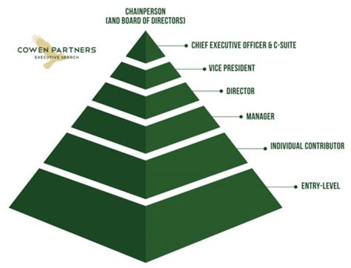 Who is above the general manager?