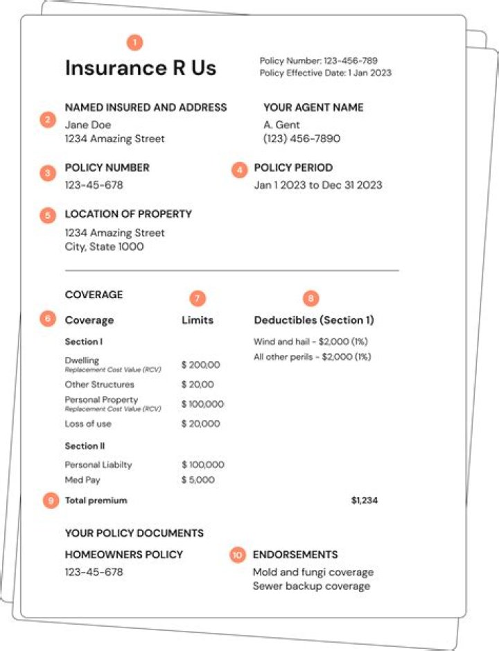 Who is not covered by your auto insurance policy?