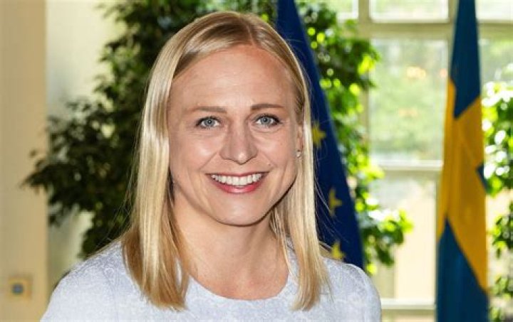 Who is the current foreign minister of Finland?