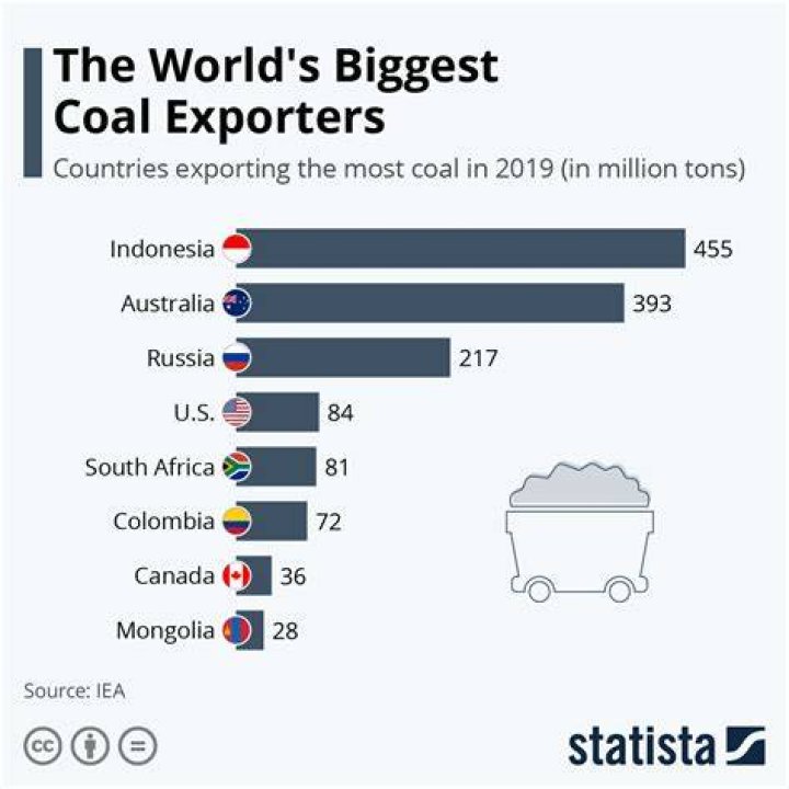 Who is the largest coal importer?