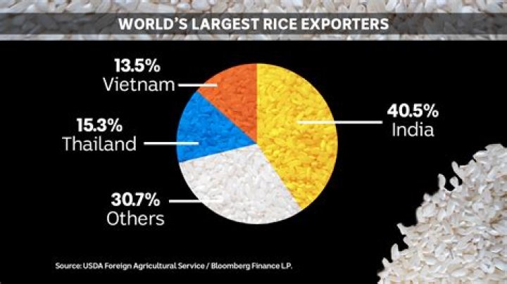 Who is the largest exporter of basmati rice?