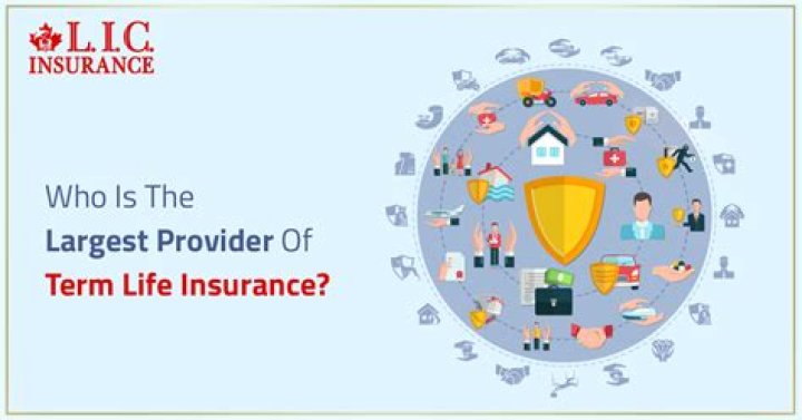 Who is the largest provider of term life insurance?