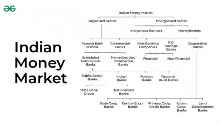 Who is the largest regulator of the India money market?