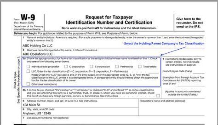 Who is the owner of a business LLC?
