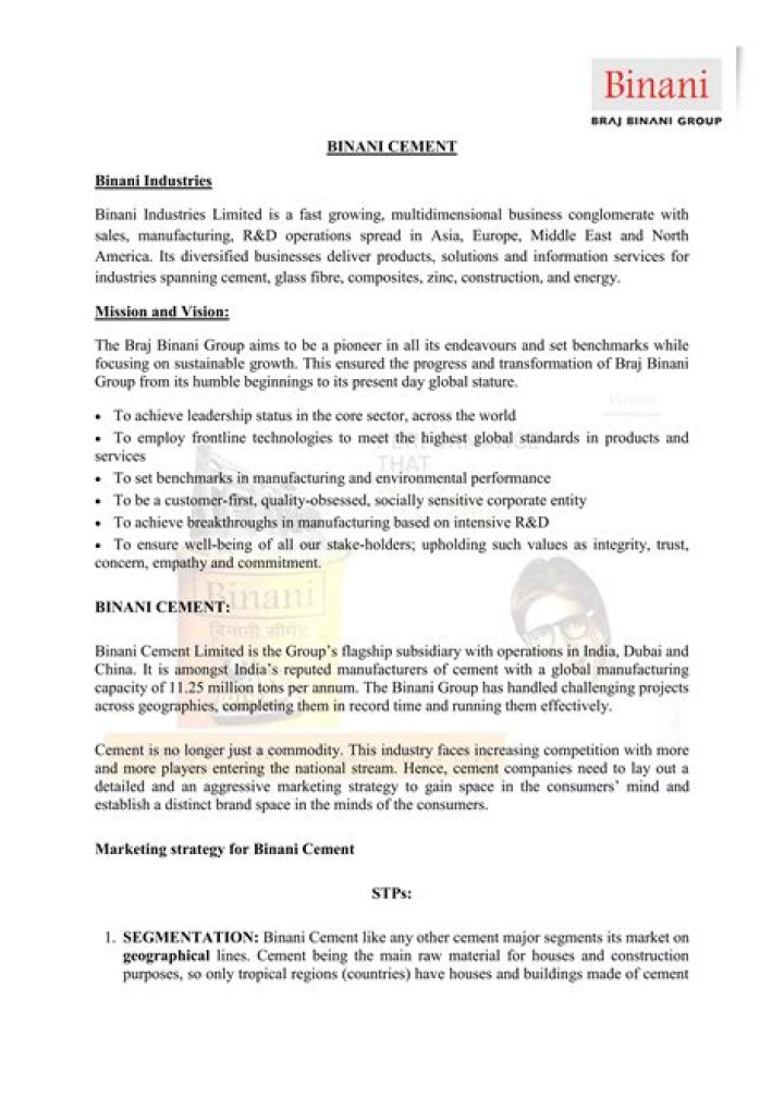 Who is the owner of Binani Cement?