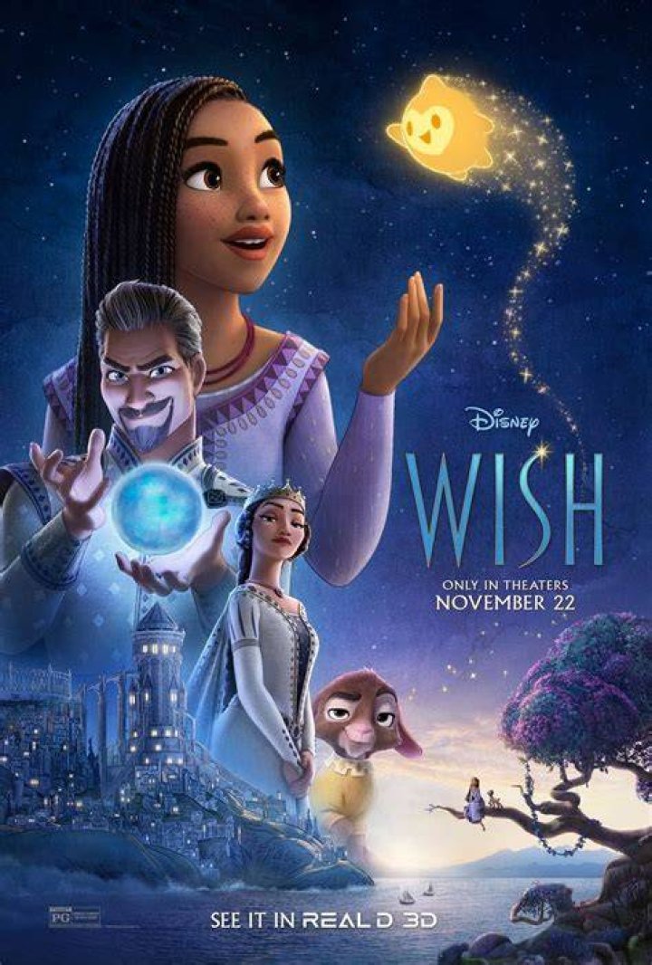 Who is wish com owned by?