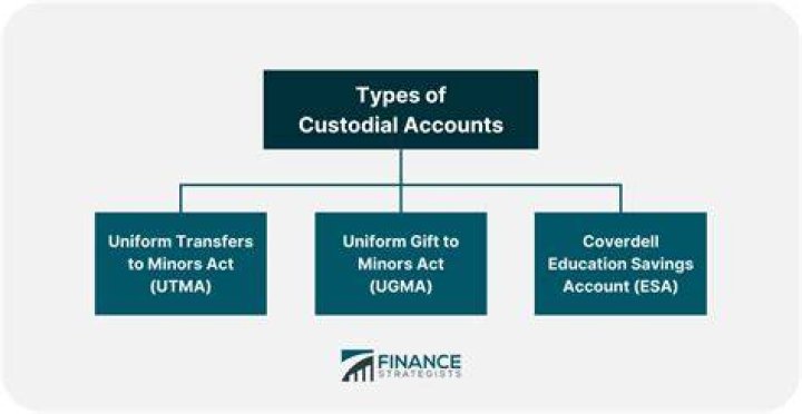 Who owns a custodial savings account?
