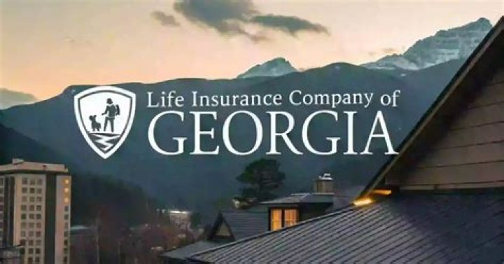 Who Owns Life of Georgia insurance company?