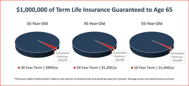 Who owns the life insurance Company of Virginia?