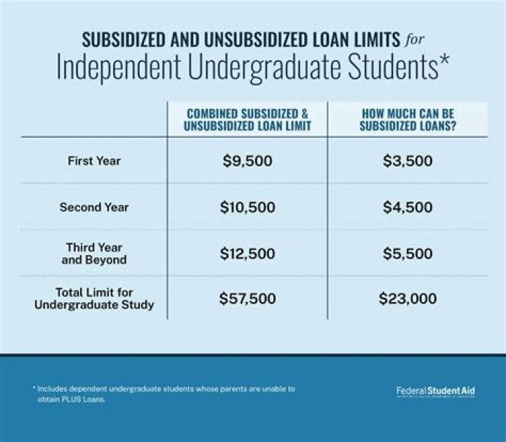 Who pays for unsubsidized student loans?