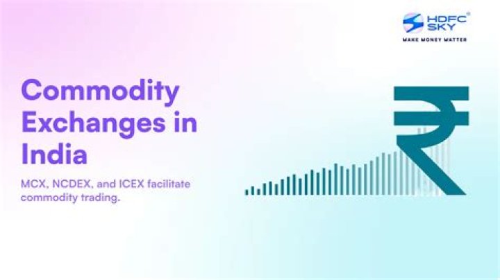 Who regulates the commodity exchanges in India?