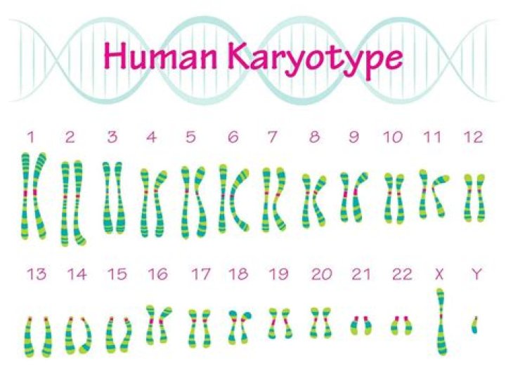 Why are karyotypes important in a medical way?
