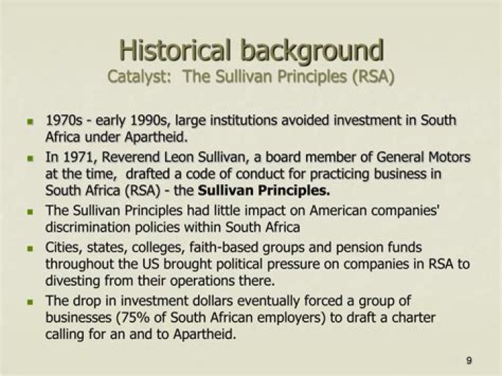 Why are the Sullivan principles important?
