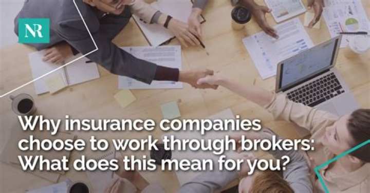 Why do insurance companies cede?