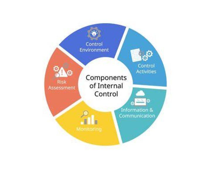 Why do we need internal controls?
