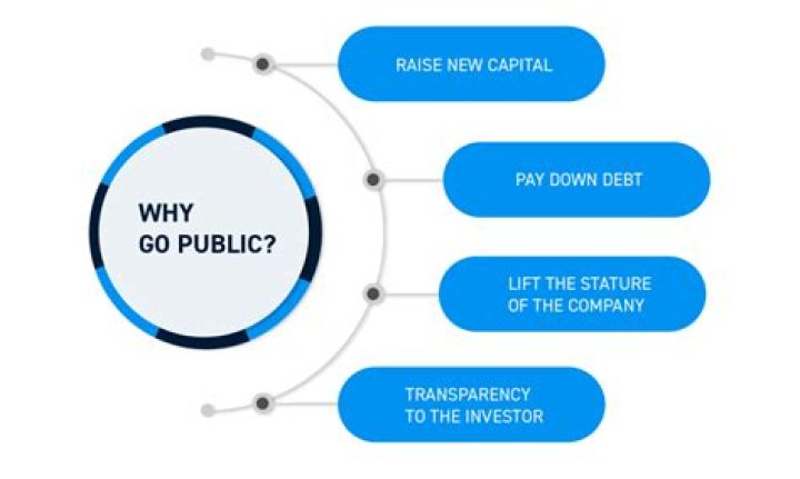 Why does a company issue IPO?