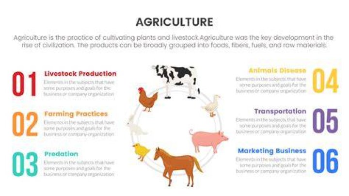 Why is it important to grow crops and raise animals?