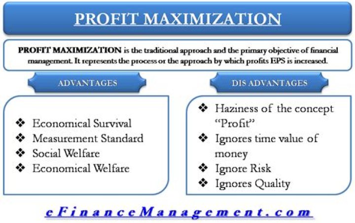 Why is profit Maximisation important in a business?