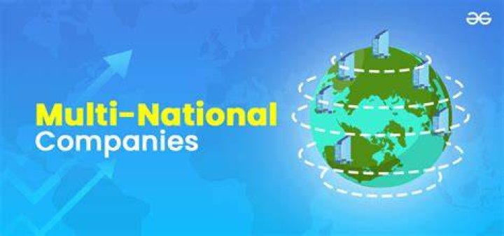 Why the agency costs is high in multinational companies?