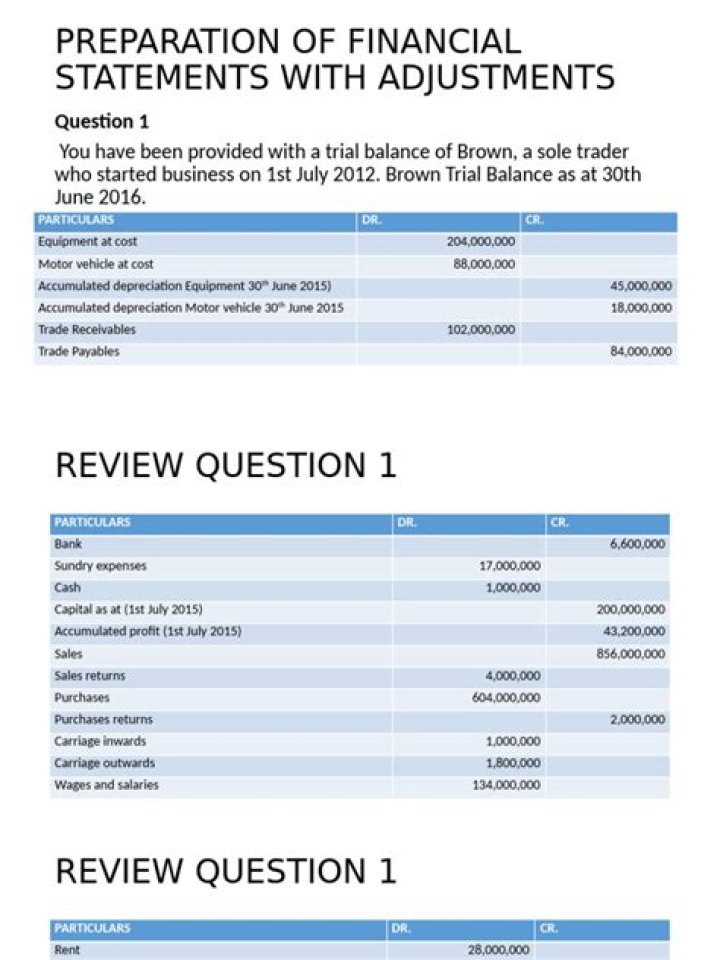 Why there is a need for adjustments before the preparation of financial statements?