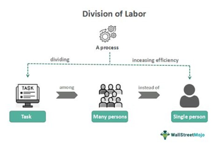 Why would division of labor be an advantage to big business and a burden on small business?