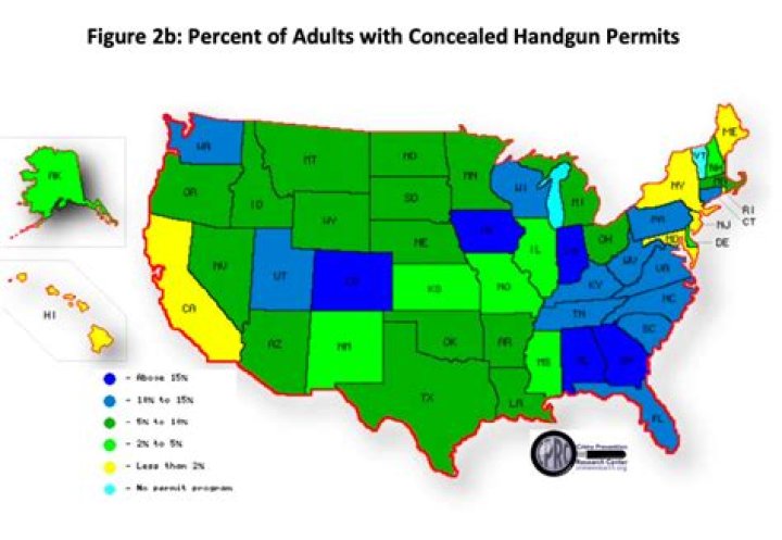 Will a DUI Affect concealed carry permit?