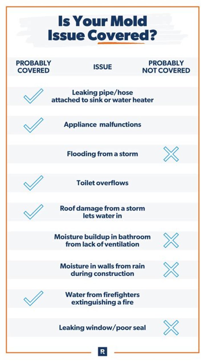Will homeowners insurance cover mold?